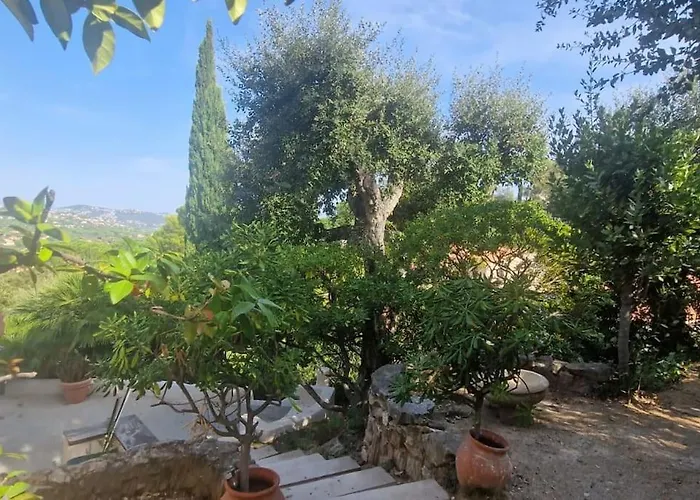 Miliane Vous Accueille *